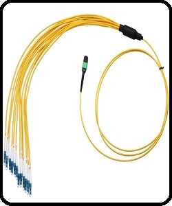 aa4-3:  SM12ch MPO-SC/APC patch cord ribbon cover 50cm panout (2.0mm) 50cm(총 1m)